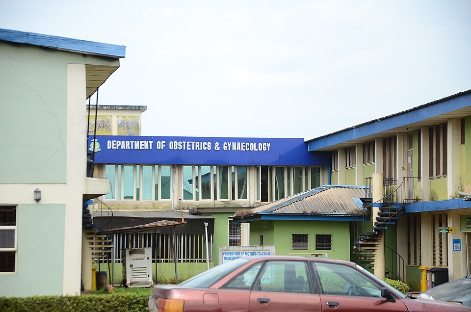 Department of Obstetrics and Gynaecology